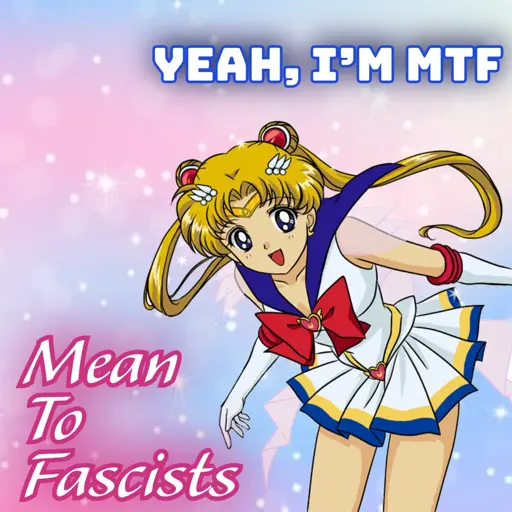 Yeah I'm MTF
*saylor moon looking at spectator, sparkly trans-colored background*
Mean To Fascists