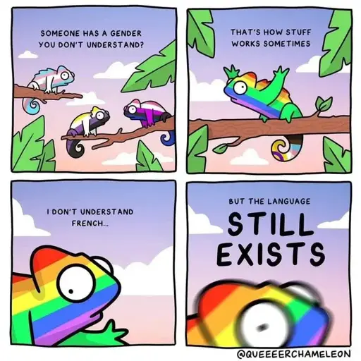 pride coloured chameleons, the rainbow one saying: "someone has a gender you don't understand? that's how stuff works sometimes. i dont understand french but the language still exists"