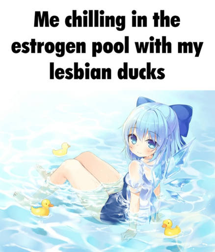 Lesbian Ducks